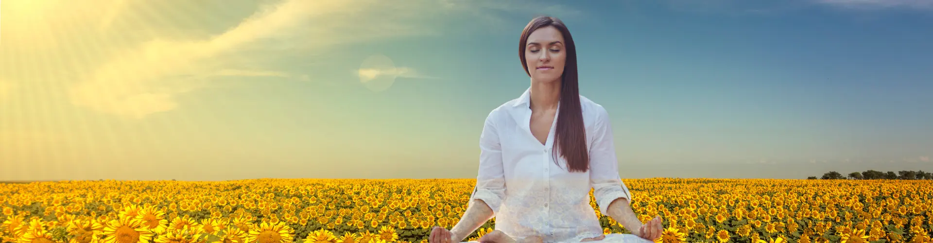 Bundle: Simposio sul solstizio d'estate - Online Course by Learn It Live